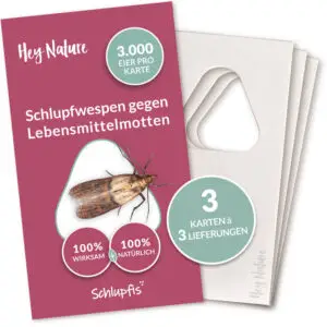 Schlupfwespen kaufen - 3.000 Eier pro Karte