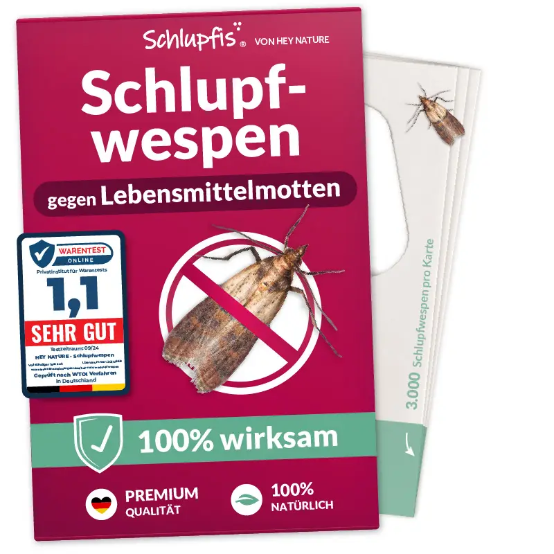 Schlupfwespen gegen Lebensmittelmotten