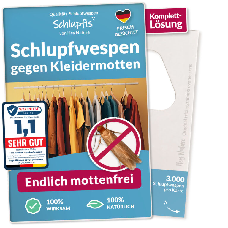 Schlupfwespen kaufen gegen Kleidermotten